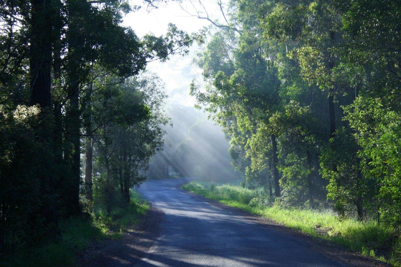 Gympie North 